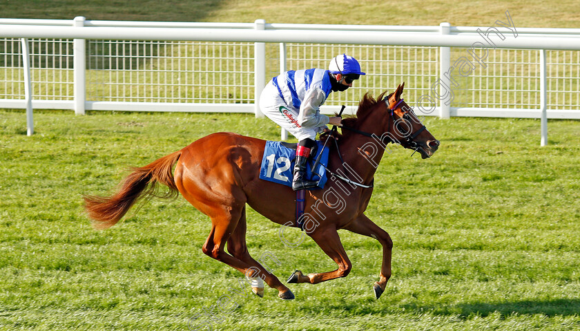 Kyllinga-0001 
 KYLLINGA (Shane Kelly)
Salisbury 11 Jul 2020 - Pic Steven Cargill / Racingfotos.com