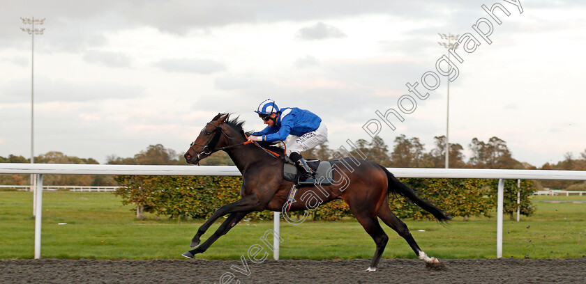 Mushahadaat-0006 
 MUSHAHADAAT (Dane O'Neill) wins The 32Red.com British Stalliuon Studs EBF Maiden Fillies Stakes Div1 Kempton 4 Oct 2017 - Pic Steven Cargill / Racingfotos.com