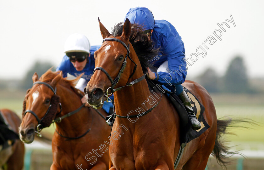 Bold-Act-0001 
 BOLD ACT (William Buick) wins The Federation Of Bloodstock Agents Nursery
Newmarket 22 Sep 2022 - Pic Steven Cargill / Racingfotos.com