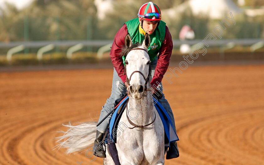 King-Malpic-0001 
 KING MALPIC preparing for the 1351 Cup
Riyadh Racecourse, Kingdom of Saudi Arabia 26 Feb 2020 - Pic Steven Cargill / Racingfotos.com