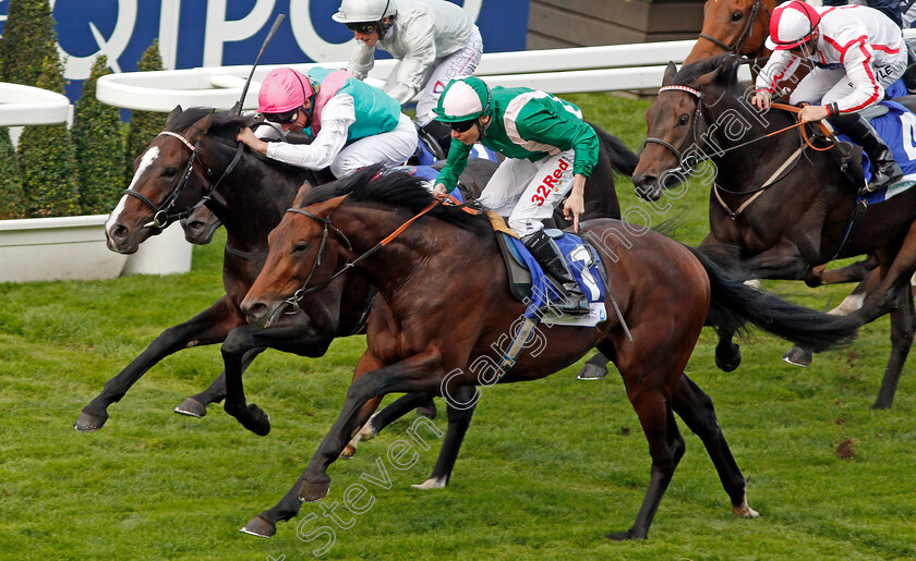 Raheen-House-0006 
 RAHEEN HOUSE (right, Jamie Spencer) beats WEEKENDER (left) in The Londonmetric Noel Murless Stakes Ascot 6 Oct 2017 - Pic Steven Cargill / Racingfotos.com