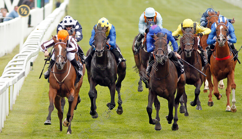 Hyanna-0003 
 HYANNA (left, Georgia Dobie) beats MIGRATION (right) in The Betway Heed Your Hunch Handicap
Sandown 31 Aug 2019 - Pic Steven Cargill / Racingfotos.com