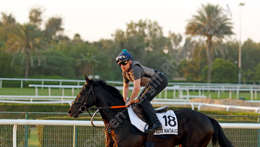 Felix-Natalis-0002 
 FELIX NATALIS training at the Dubai World Cup Carnival
Meydan 5 Jan 2023 - Pic Steven Cargill / Racingfotos.com