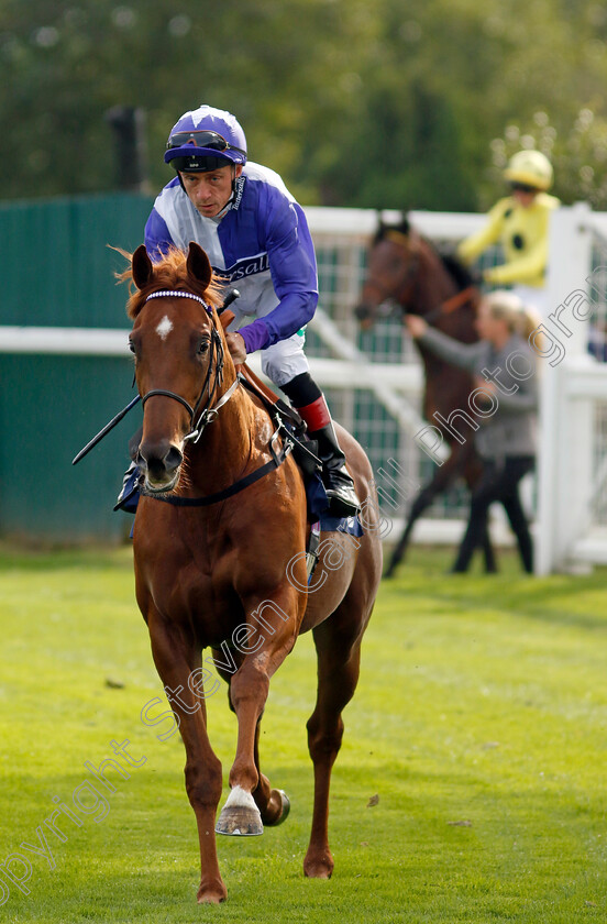 Inappropriate-0001 
 INAPPROPRIATE (Shane Kelly)
Yarmouth 16 Oct 2023 - Pic Steven Cargill / Racingfotos.com