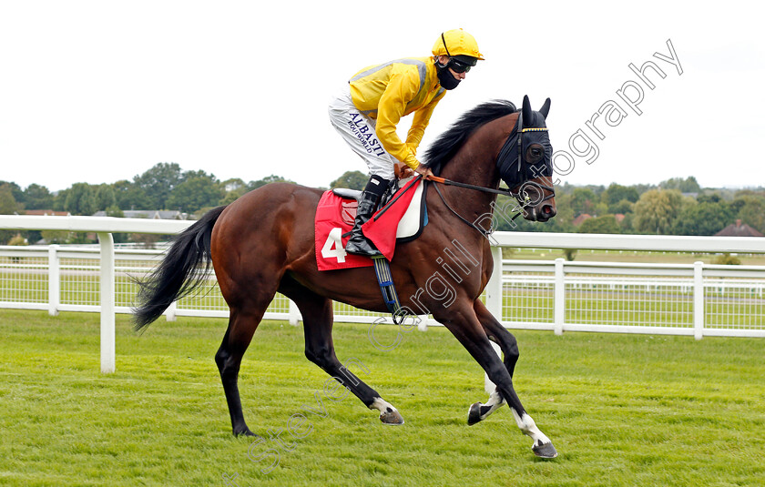 Gypsy-Boy-0001 
 GYPSY BOY (Luke Morris)
Sandown 23 Aug 2020 - Pic Steven Cargill / Racingfotos.com