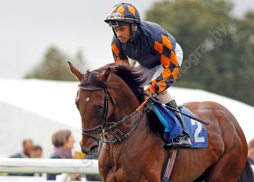 Bambino-Lola-0002 
 BAMBINO LOLA (Royston Ffrench) Salisbury 7 Sep 2017 - pic Steven Cargill / Racingfotos.com