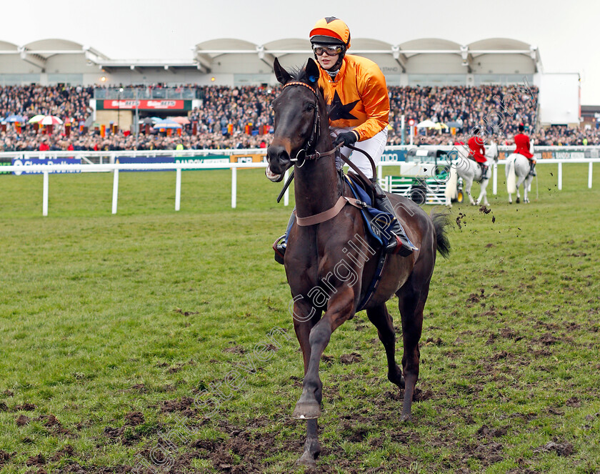 Tea-For-Two-0001 
 TEA FOR TWO (Lizzie Kelly) Cheltenham 16 Mar 2018 - Pic Steven Cargill / Racingfotos.com