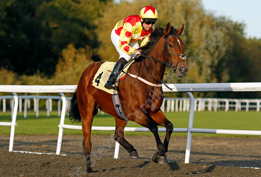 Clarakhani 
 CLARAKHANI (Robert Winston)
Kempton 6 Oct 2021 - Pic Steven Cargill / Racingfotos.com