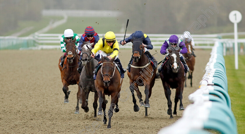 Sattwaa-0003 
 SATTWAA (Hollie Doyle) wins The Free Digital Racecard At raceday-ready.com Fillies Handicap
Lingfield 4 Apr 2024 - Pic Steven Cargill / Racingfotos.com