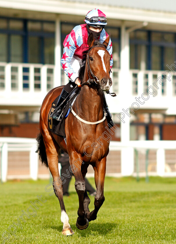 Lady-Morgana-0001 
 LADY MORGANA (Richard Kingscote)
Nottingham 4 Nov 2020 - Pic Steven Cargill / Racingfotos.com