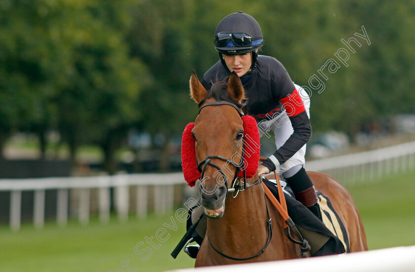 Porfin-0009 
 PORFIN (Molly Presland) winner of The racingtv.com Handicap
Newmarket 4 Aug 2023 - Pic Steven Cargill / Racingfotos.com