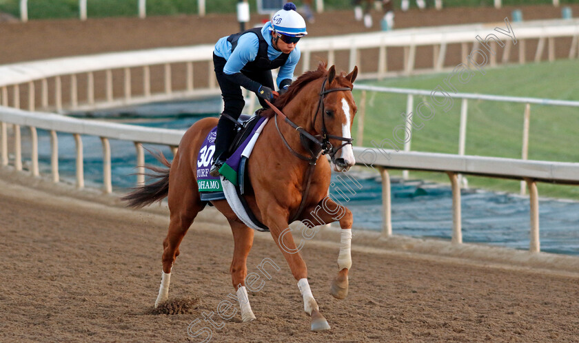 Adhamo-0001 
 ADHAMO training for The Breeders' Cup Turf
Santa Anita USA, 31 October 2023 - Pic Steven Cargill / Racingfotos.com