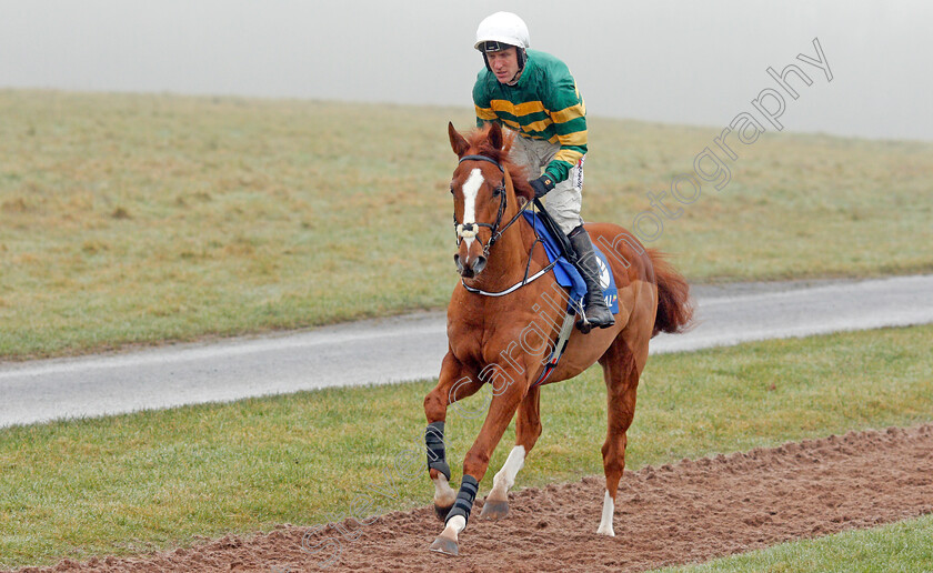 Cerberus-0001 
 CERBERUS (Robbie Power)
Chepstow 27 Dec 2019 - Pic Steven Cargill / Racingfotos.com