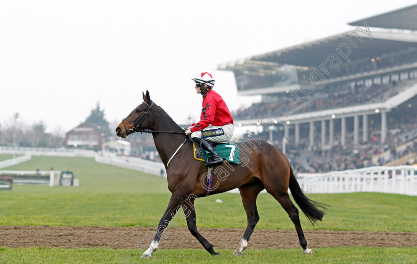 The-Newest-One-0001 
 THE NEWEST ONE (Sam Twiston-Davies)
Cheltenham 13 Dec 2024 - Pic Steven Cargill / Racingfotos.com