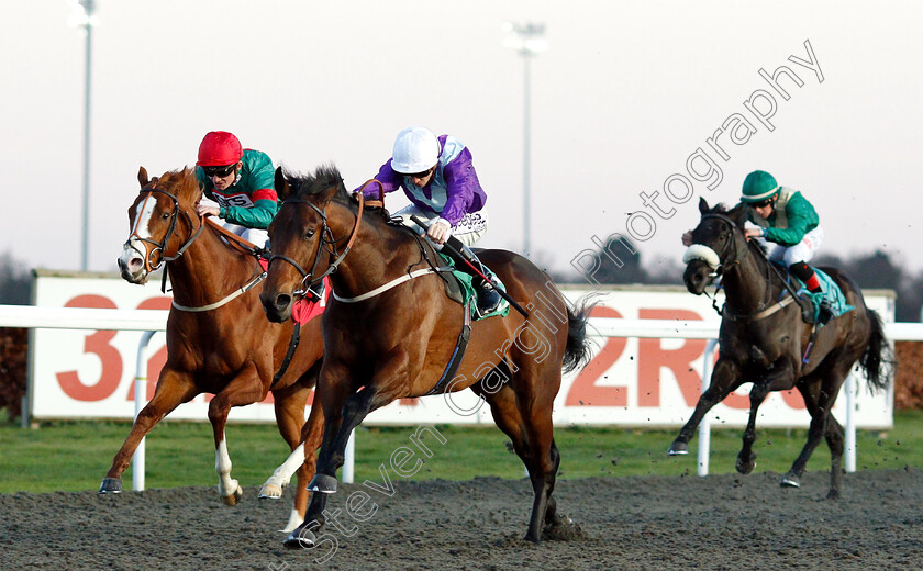 No-Nonsense-0003 
 NO NONSENSE (David Probert) beats BENNY AND THE JETS (left) in The Talksport Novice Stakes
Kempton 12 Dec 2018 - Pic Steven Cargill / Racingfotos.com