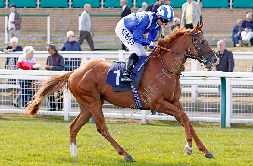 Buhturi-0001 
 BUHTURI (Dane O'Neill)
Yarmouth 17 Sep 2019 - Pic Steven Cargill / Racingfotos.com