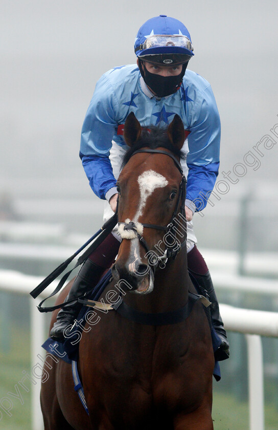 Akkeringa-0001 
 AKKERINGA (Rob Hornby)
Doncaster 7 Nov 2020 - Pic Steven Cargill / Racingfotos.com