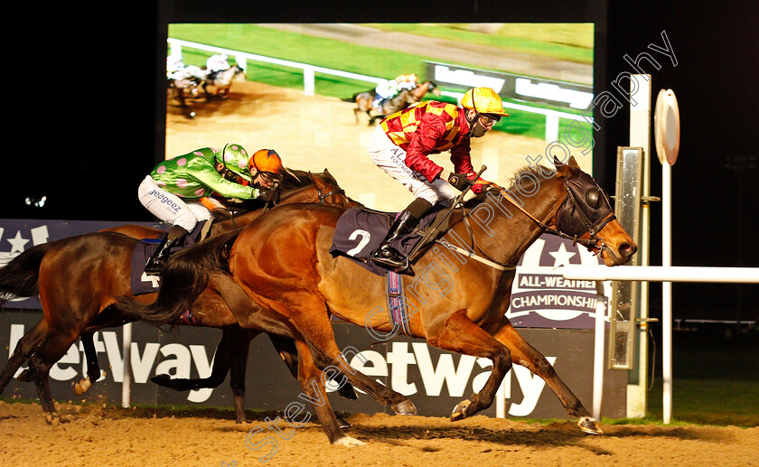 Qaaraat-0001 
 QAARAAT (Cam Hardie) wins The Betway Supporting Safer Gambling Week Handicap
Wolverhampton 24 ov 2020 - Pic Steven Cargill / Racingfotos.com