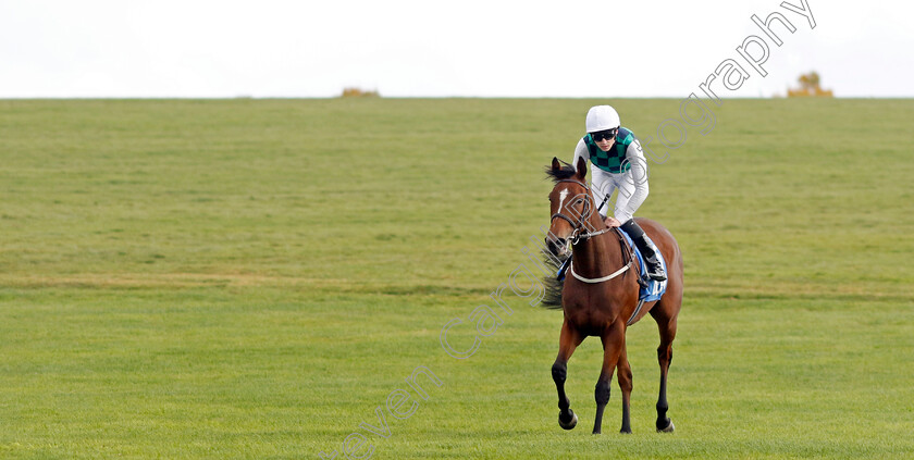 Midnight-Mile-0010 
 MIDNIGHT MILE (Oisin Orr) winner of The Godolphin Lifetime Care Oh So Sharp Stakes
Newmarket 7 Oct 2022 - Pic Steven Cargill / Racingfotos.com