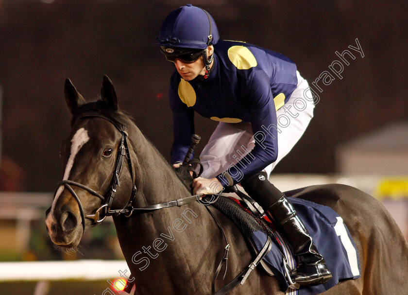 Corvair-0002 
 CORVAIR (Jack Mitchell) winner of The Ladbrokes Where The Nation Plays Handicap
Wolverhampton 20 Jan 2020 - Pic Steven Cargill / Racingfotos.com