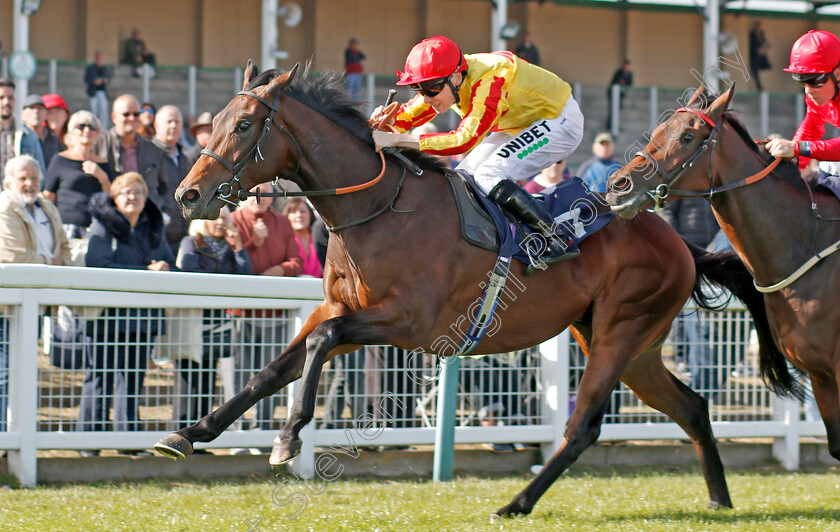 Tiger-Crusade-0004 
 TIGER CRUSADE (Jamie Spencer) wins The British Stallion Studs EBF Novice Stakes
Yarmouth 17 Sep 2019 - Pic Steven Cargill / Racingfotos.com