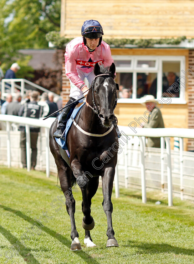 Marie s-Diamond-0001 
 MARIE'S DIAMOND (Jason Hart)
York 10 Jun 2022 - Pic Steven Cargill / Racingfotos.com