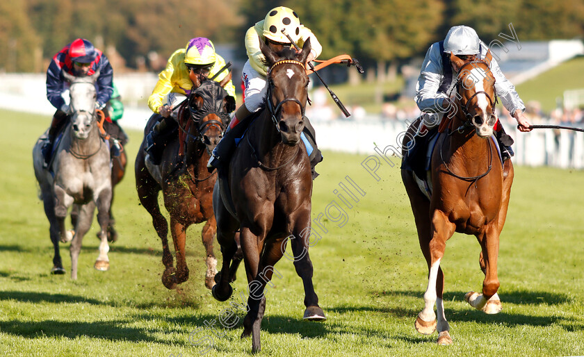 Elasia-0002 
 ELASIA (left, Andrea Atzeni) beats FIRE JET (right) in The TBA #thisfillycan Fillies Handicap
Goodwood 26 Sep 2018 - Pic Steven Cargill / Racingfotos.com