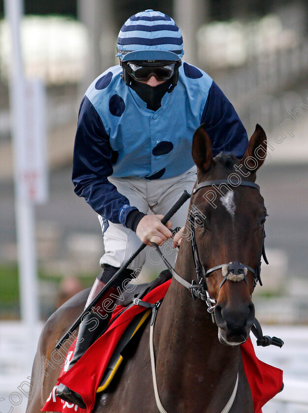 Riders-Onthe-Storm-0002 
 RIDERS ONTHE STORM (Sam Twiston-Davies)
Cheltenham 15 Nov 2020 - Pic Steven Cargill / Racingfotos.com