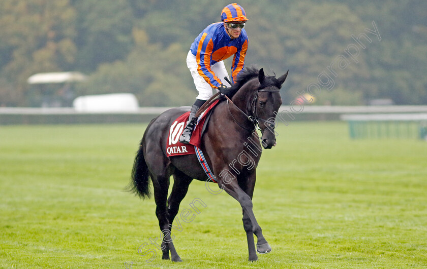 Camille-Pissarro-0008 
 CAMILLE PISSARRO (Christophe Soumillon) winner of The Qatar Prix Jean-Luc Lagadere
Longchamp 6 Oct 2024 - Pic Steven Cargill / Racingfotos.com