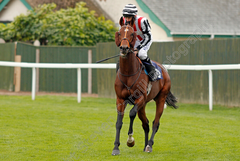 Glen-Force-0001 
 GLEN FORCE (Luke Morris)
Yarmouth 16 Sep 2020 - Pic Steven Cargill / Racingfotos.com