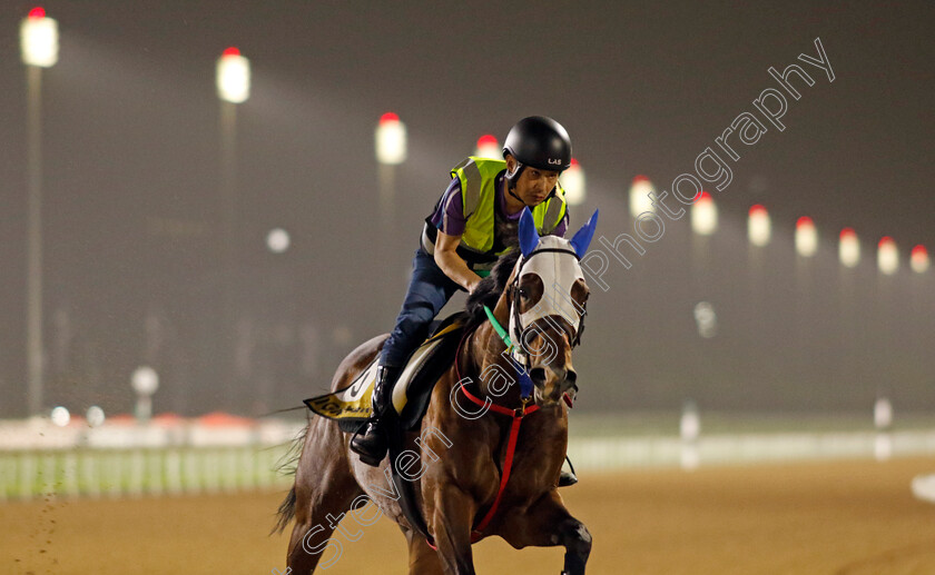 Igniter-0001 
 IGNITER training for The Golden Shaheen
Meydan Dubai 26 Mar 2024 - Pic Steven Cargill / Racingfotos.com