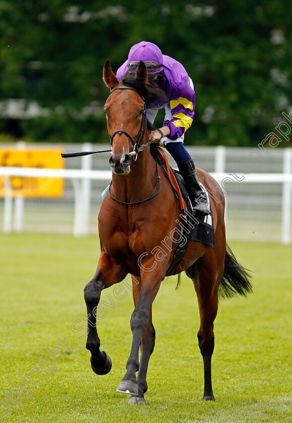 Warhol-0001 
 WARHOL (David Probert)
Newbury 10 Jun 2021 - Pic Steven Cargill / Racingfotos.com