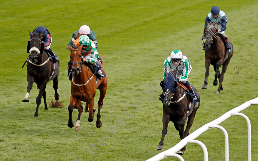 Author s-Dream-0004 
 AUTHOR'S DREAM (David Egan) wins The Betway Handicap
Lingfield 26 Aug 2020 - Pic Steven Cargill / Racingfotos.com