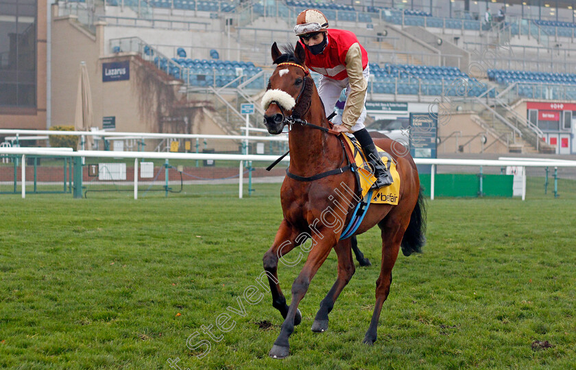 C Est-No-Mour-0001 
 C'EST NO MOUR (George Wood)
Doncaster 7 Nov 2020 - Pic Steven Cargill / Racingfotos.com