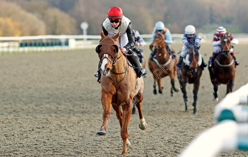 Caribeno-0003 
 CARIBENO (Morgan Cole) wins The Betway Apprentice Handicap (Hands And Heels Final) 
Lingfield 6 Mar 2021 - Pic Steven Cargill / Racingfotos.com