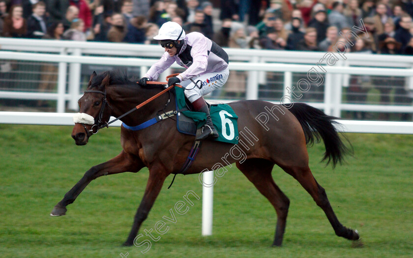 Glory-And-Fortune-0007 
 GLORY AND FORTUNE (Richard Johnson) wins The EBF Stallions & Cheltenham Pony Club Standard Open National Hunt Flat Race
Cheltenham 1 Jan 2019 - Pic Steven Cargill / Racingfotos.com