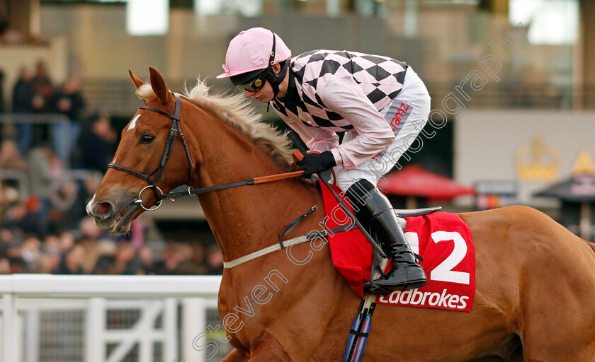 Secret-Squirrel-0004 
 SECRET SQUIRREL (David Bass)
Ascot 21 Dec 2024 - Pic Steven Cargill / Racingfotos.com