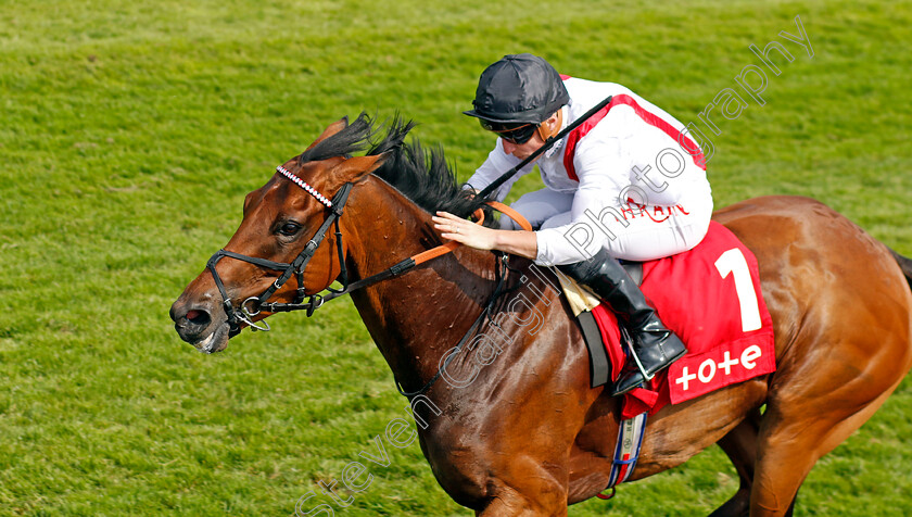 Hamish-0004 
 HAMISH (Tom Marquand) wins The tote.co.uk Proud To Support Chester Racecourse Ormonde Stakes
Chester 5 May 2022 - Pic Steven Cargill / Racingfotos.com