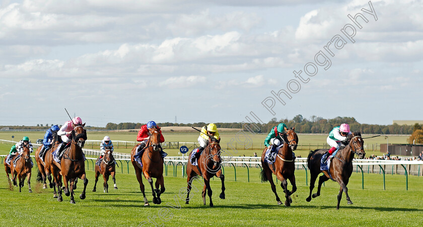 Coppice-0006 
 COPPICE (right, Frankie Dettori) beats TARAWA (2nd right) AMEYNAH (centre) POTAPOVA (2nd left) and QUEEN FOR YOU (left) in The Al Basti Equiworld Dubai British EBF Rosemary Stakes
Newmarket 29 Sep 2023 - Pic Steven Cargill / Racingfotos.com