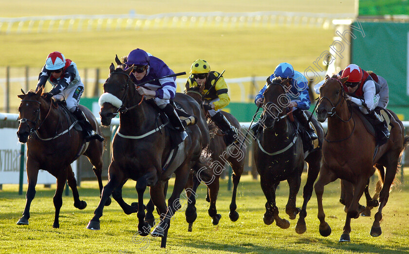 Muntadab-0001 
 MUNTADAB (Cameron Noble) wins The Newmarket Journal Handicap
Newmarket 29 Sep 2018 - Pic Steven Cargill / Racingfotos.com