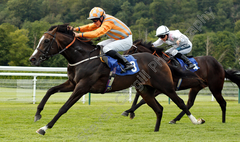 Mr-Duepearl-0004 
 MR DUEPEARL (Seamus Cronin) wins The Mansionbet Novice Auction Stakes
Nottingham 16 Jul 2019 - Pic Steven Cargill / Racingfotos.com