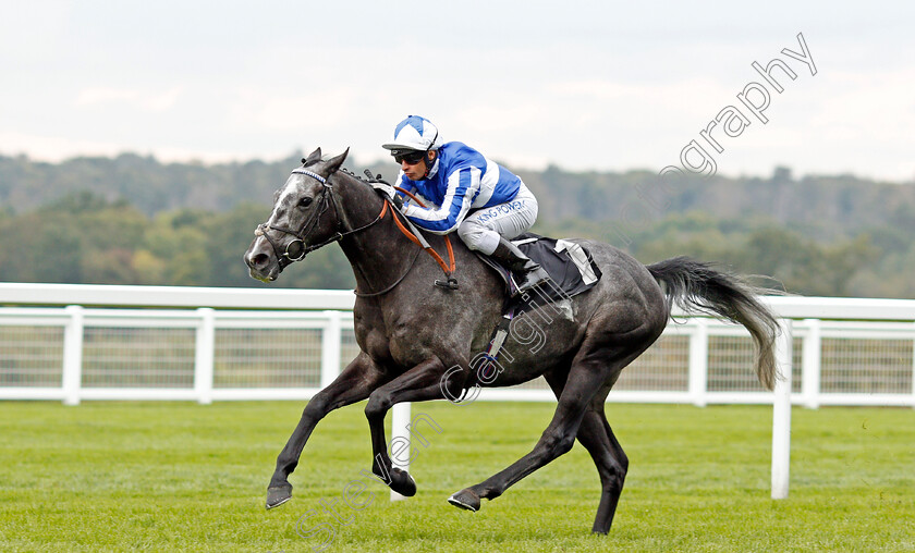 Morando-0005 
 MORANDO (Silvestre De Sousa) wins The Property Raceday Cumberland Lodge Stakes
Ascot 5 Oct 2019 - Pic Steven Cargill / Racingfotos.com