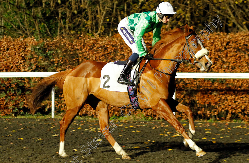 All-Greek-To-Me-0001 
 ALL GREEK TO ME (Daniel Muscutt)
Kempton 13 Dec 2023 - Pic Steven Cargill / Racingfotos.com