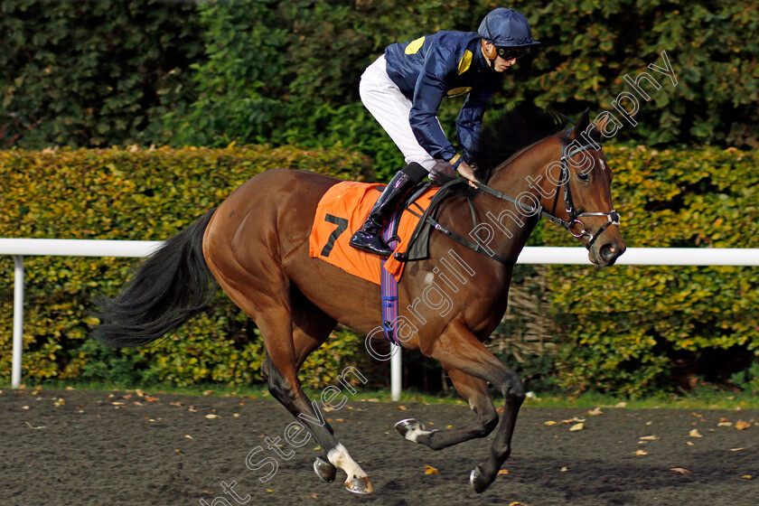 Left-Alone-0001 
 LEFT ALONE (James Doyle) Kempton 4 Oct 2017 - Pic Steven Cargill / Racingfotos.com