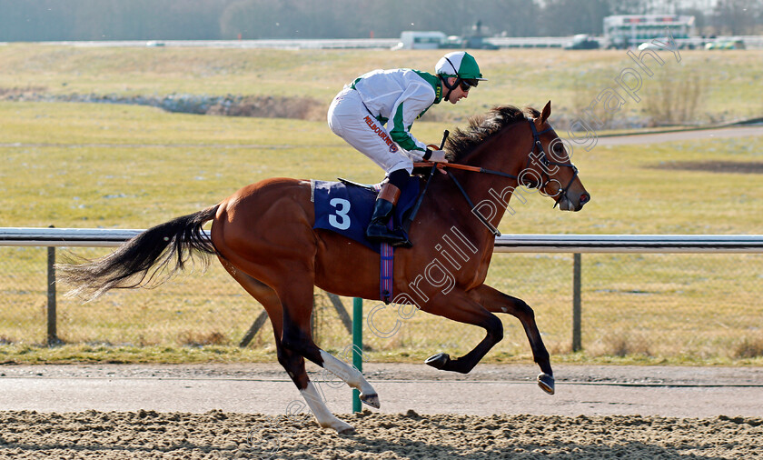 Turn-Of-Luck-0001 
 TURN OF LUCK (Dougie Costello) Lingfield 27 Feb 2018 - pic Steven Cargill / Racingfotos.com