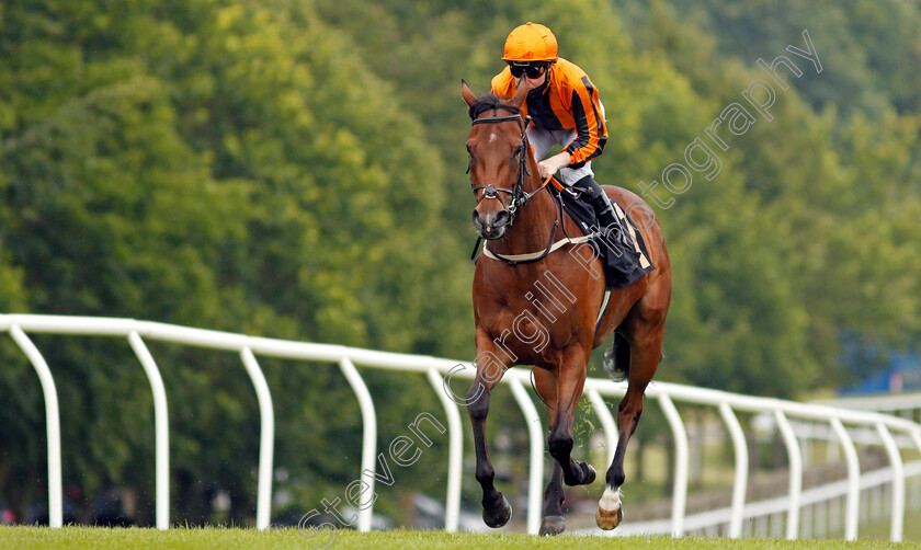 Passionova-0001 
 PASSIONOVA (Pat Cosgrave) winner of The Nooresh Juglall Memorial Fillies Novice Stakes
Newmarket 24 Jun 2021 - Pic Steven Cargill / Racingfotos.com