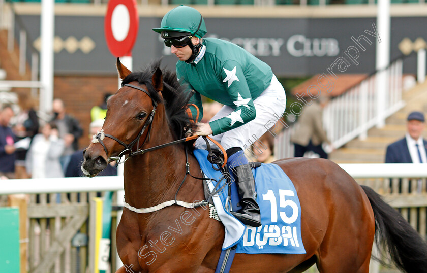 Stellar-Queen 
 STELLAR QUEEN (Martin Dwyer)
Newmarket 8 Oct 2021 - Pic Steven Cargill / Racingfotos.com