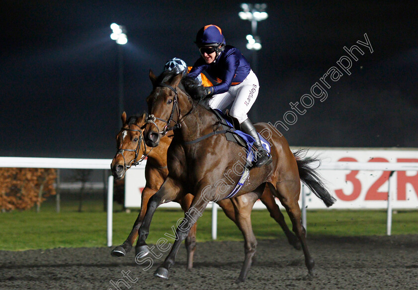 Time-To-Blossom-0004 
 TIME TO BLOSSOM (Serena Brotherton) wins The 100% Profit Boost At 32Redsport.com Amateur Riders Handicap Kempton 10 Jan 2018 - Pic Steven Cargill / Racingfotos.com