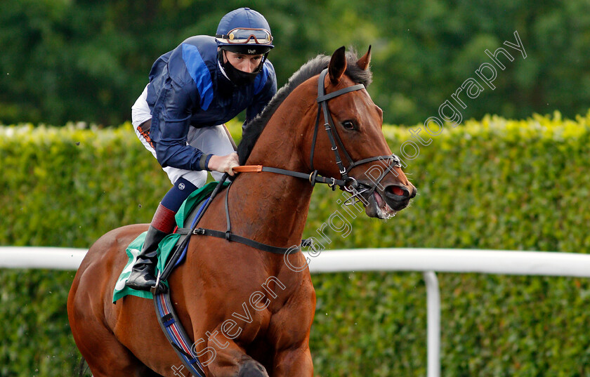 Limited-Edition-0001 
 LIMITED EDITION (David Egan)
Kempton 2 Jun 2021 - Pic Steven Cargill / Racingfotos.com