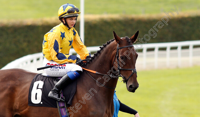 Coeur-Blimey-0002 
 COEUR BLIMEY (Megan Nicholls)
Goodwood 4 Sep 2018 - Pic Steven Cargill / Racingfotos.com